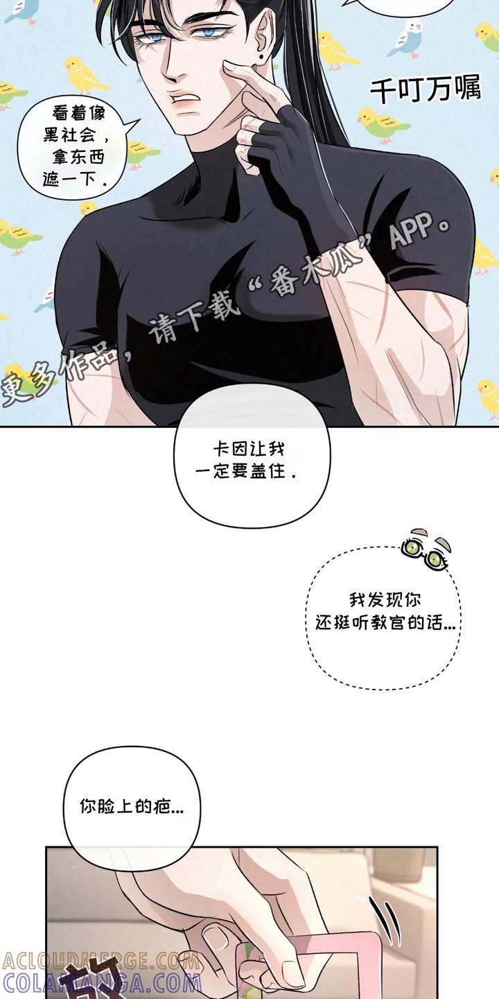 《血液指南》第30章：【第二季】柠檬味 第11页