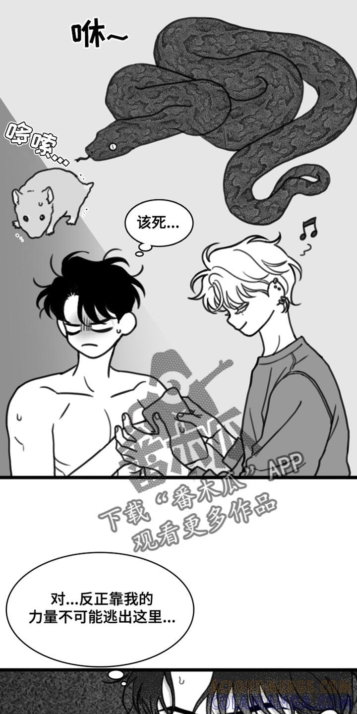 《疯狂禁锢》第30章：你真可爱 第13页