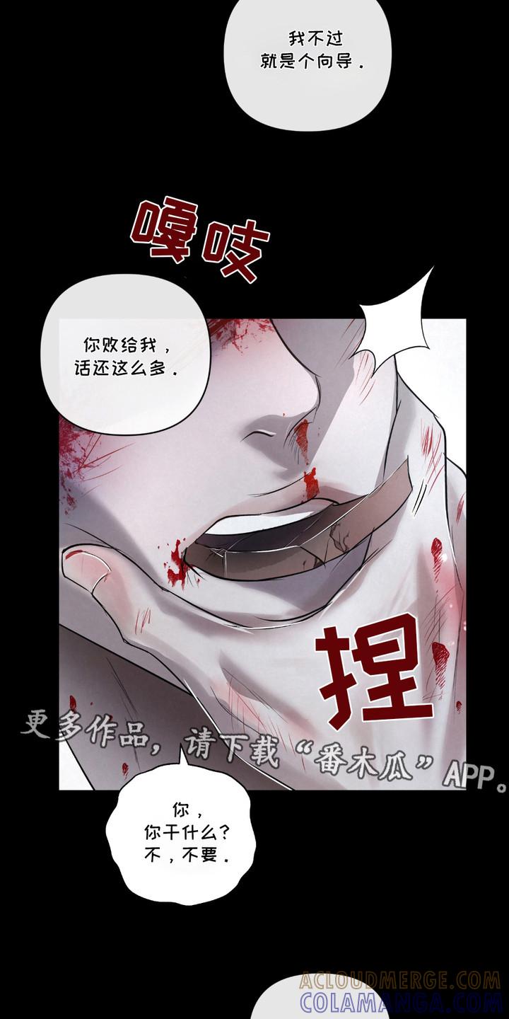 《血液指南》第31章：【第二季】弱肉强食 第11页