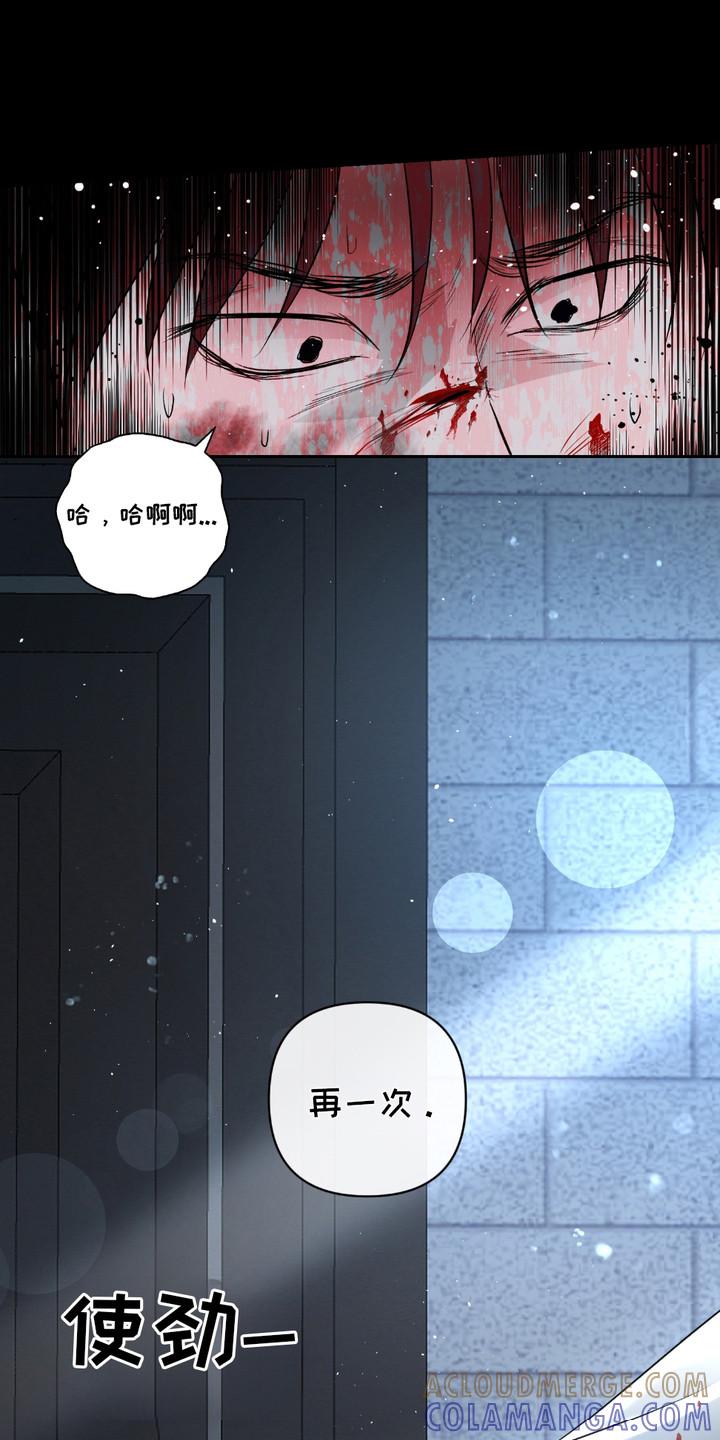 《血液指南》第31章：【第二季】弱肉强食 第13页