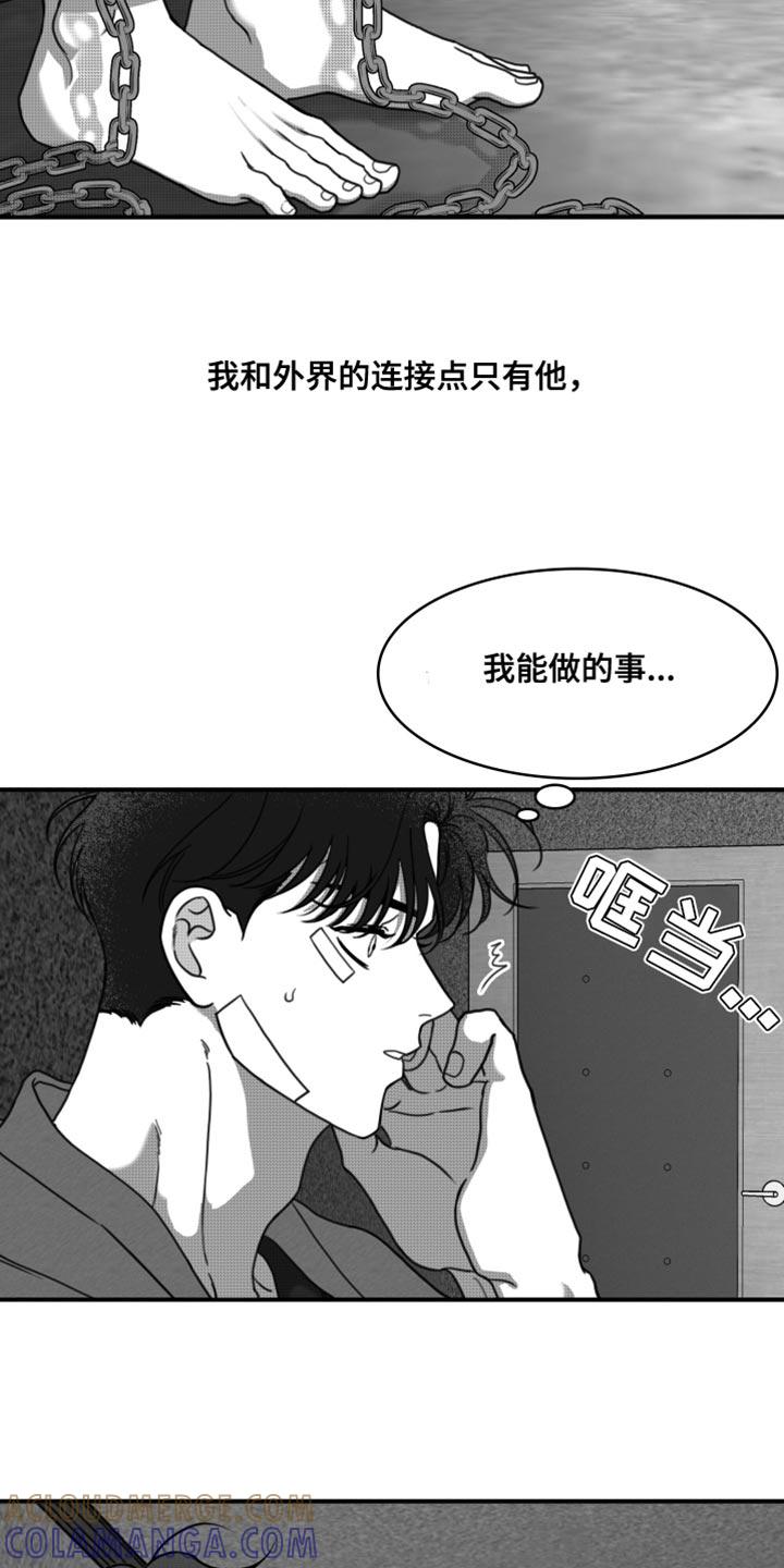 《疯狂禁锢》第32章：只有等他回来 第15页