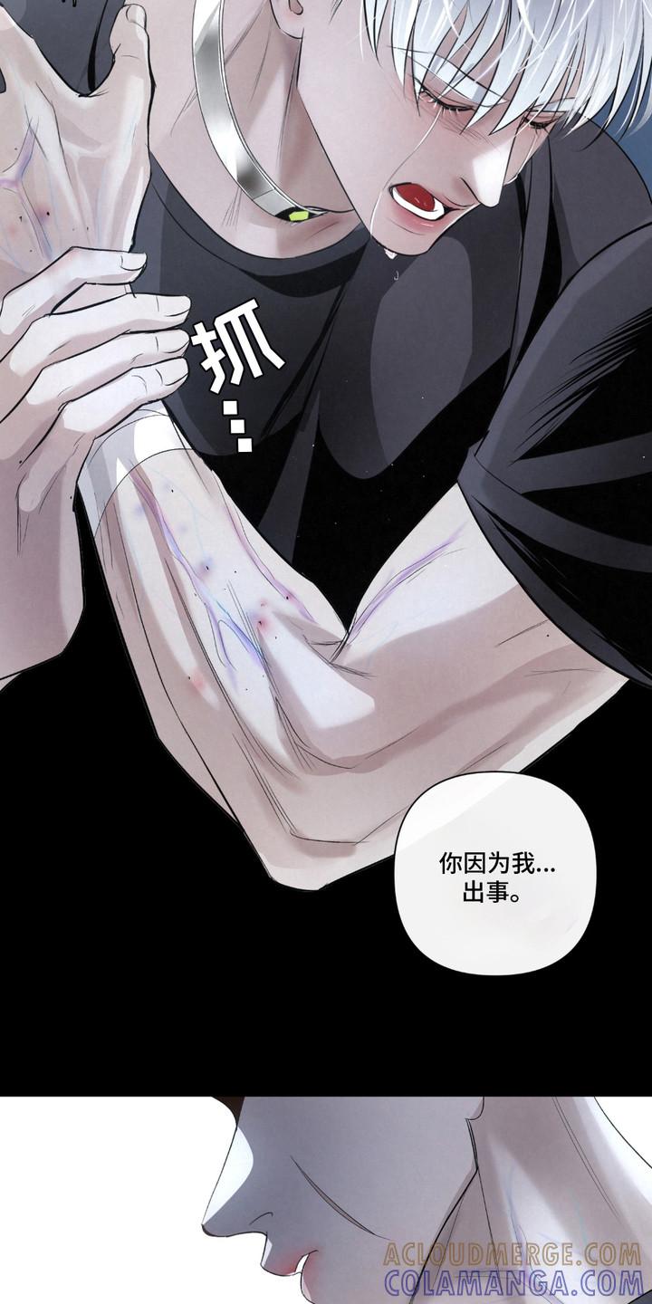 《血液指南》第32章：【第二季】唯一的转机 第3页