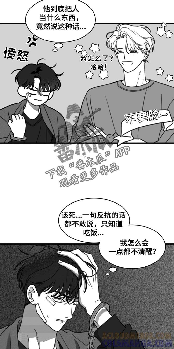 《疯狂禁锢》第32章：只有等他回来 第3页