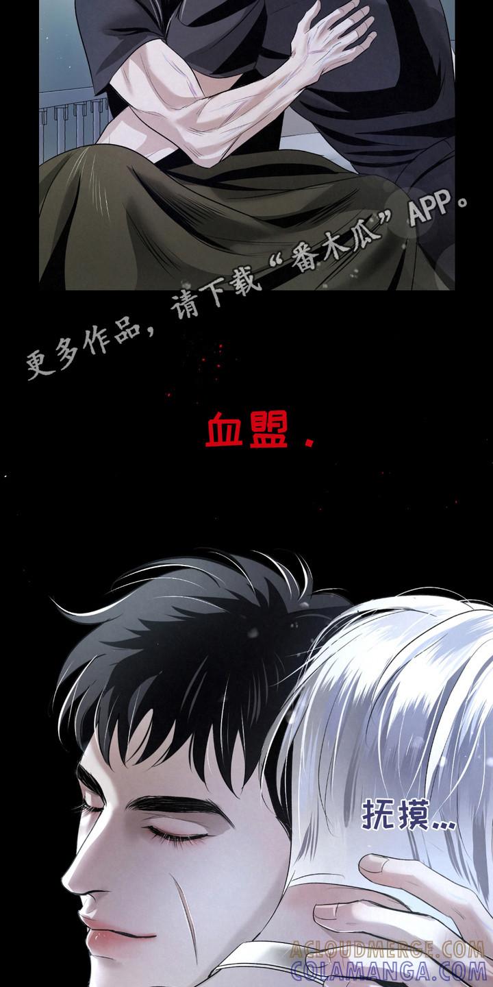 《血液指南》第32章：【第二季】唯一的转机 第11页