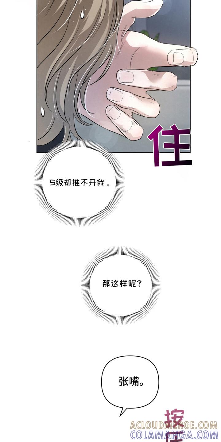 《血液指南》第34章：【第二季】成功了 第13页