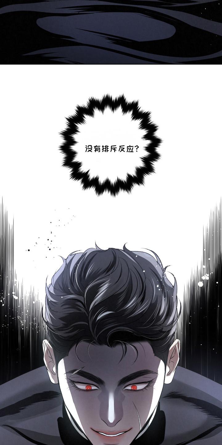 《血液指南》第34章：【第二季】成功了 第18页