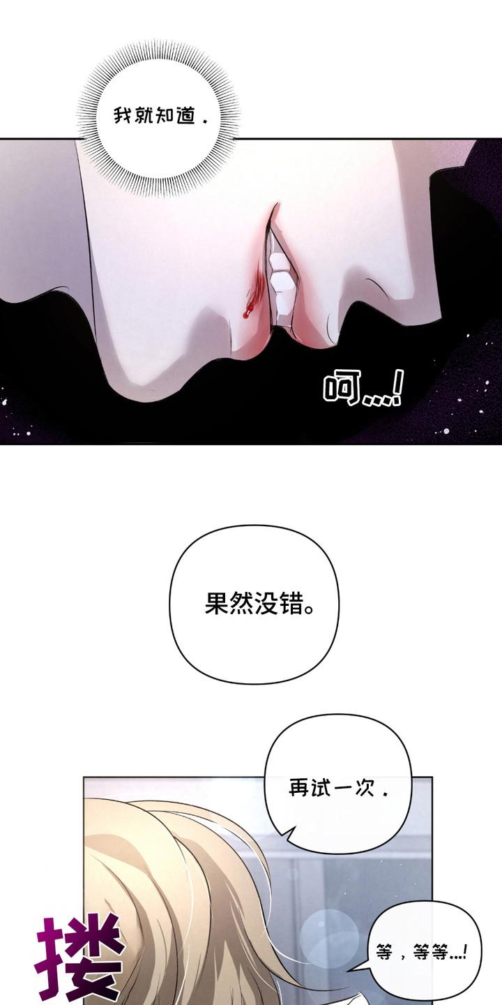 《血液指南》第34章：【第二季】成功了 第12页