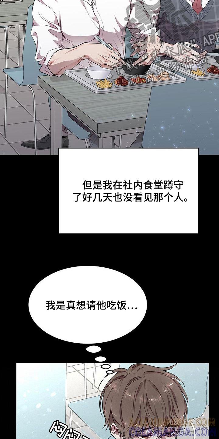 《虚情假意》第36章：眼镜男 第17页