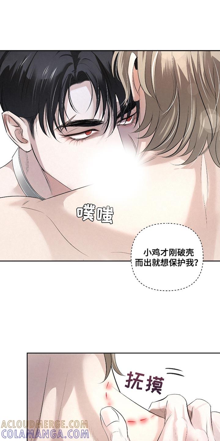 《血液指南》第38章：【第二季】喜欢你不说话的样子 第7页