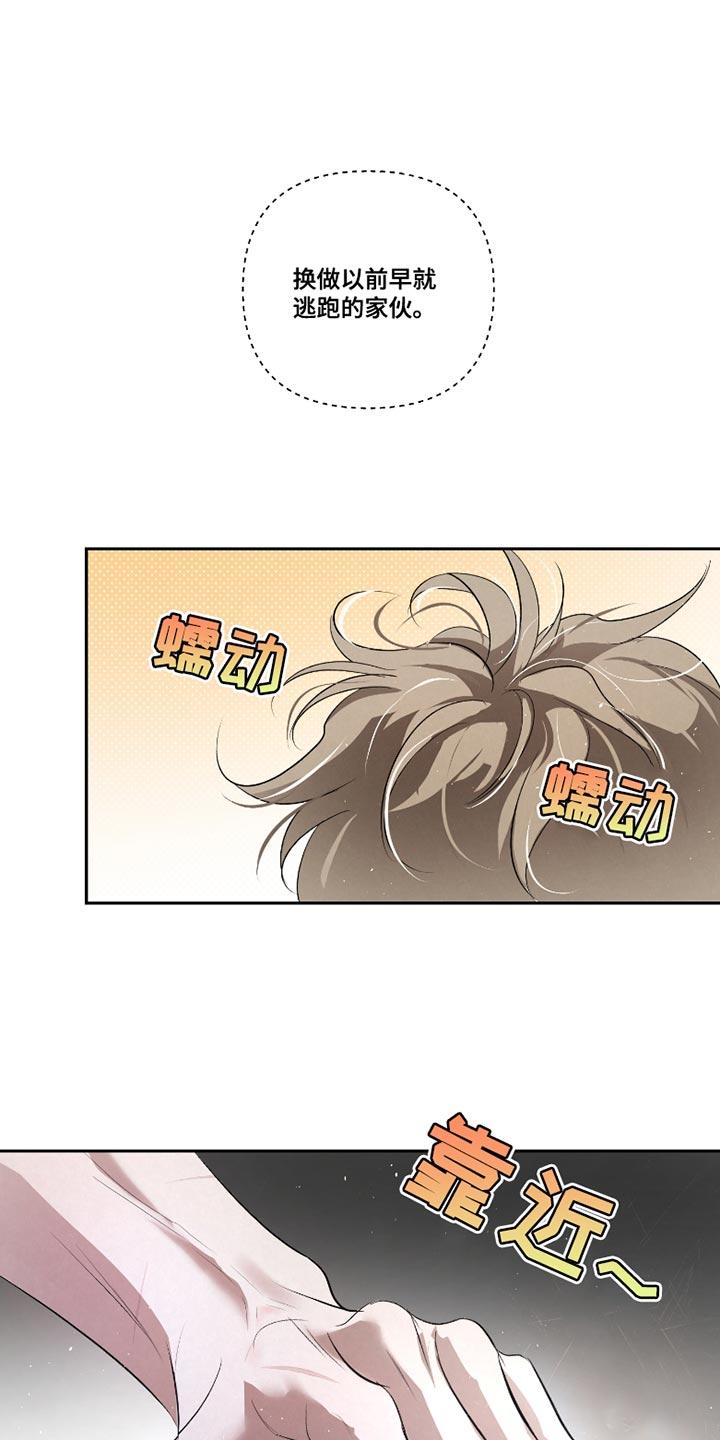 《血液指南》第39章：【第二季】确实有点奇怪 第6页