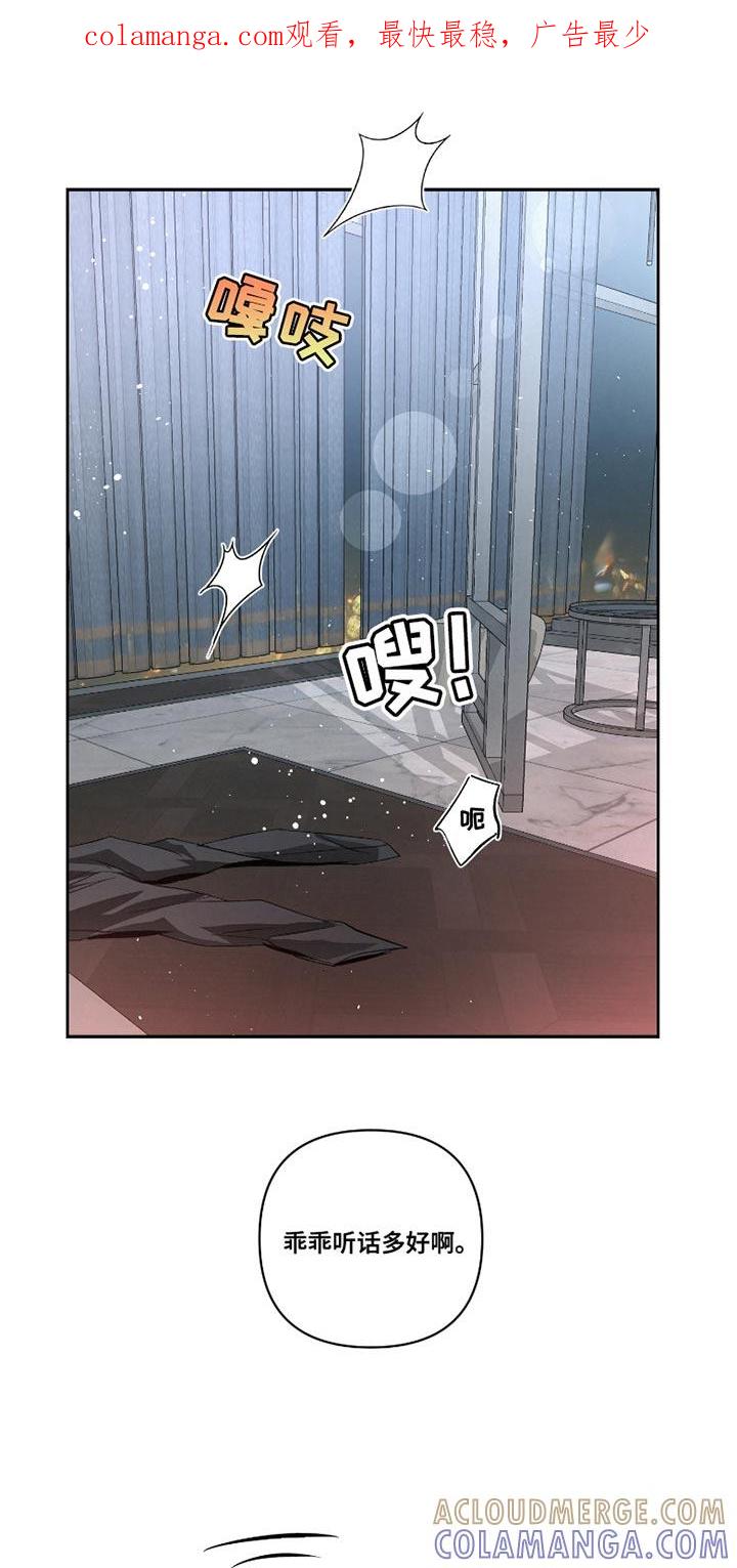《血液指南》第39章：【第二季】确实有点奇怪 第1页