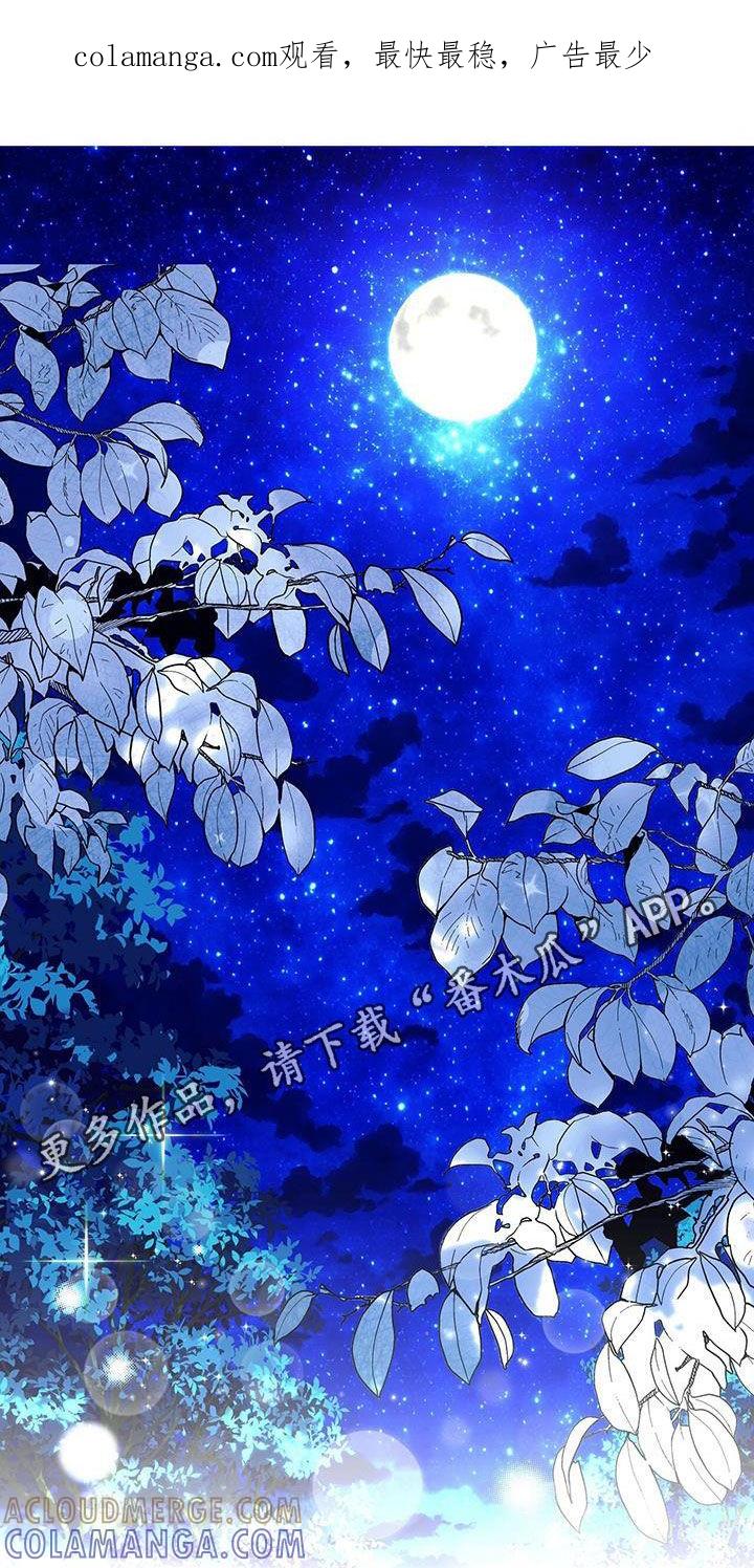《虚情假意》第40章：恐怖故事 第1页