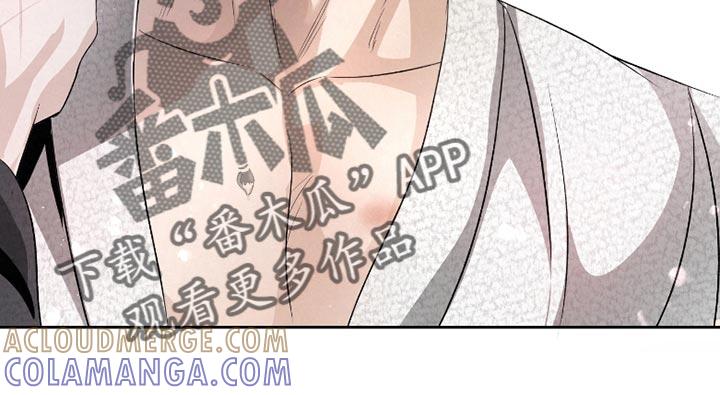 《血液指南》第41章：【第二季】最重要的事 第17页