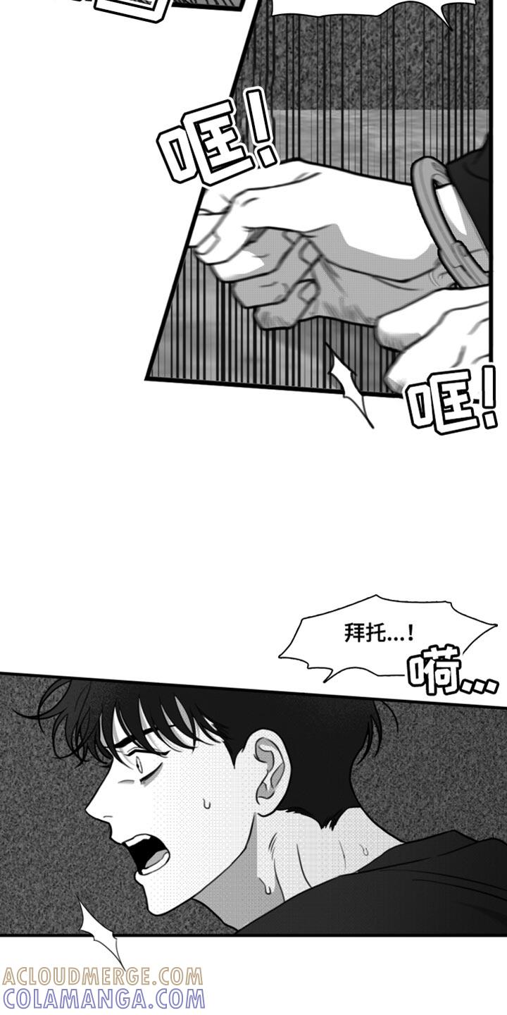 《疯狂禁锢》第41章：陷害 第15页
