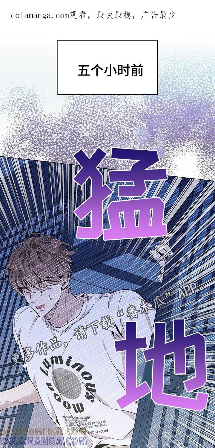《虚情假意》第42章：超大蜘蛛 第1页