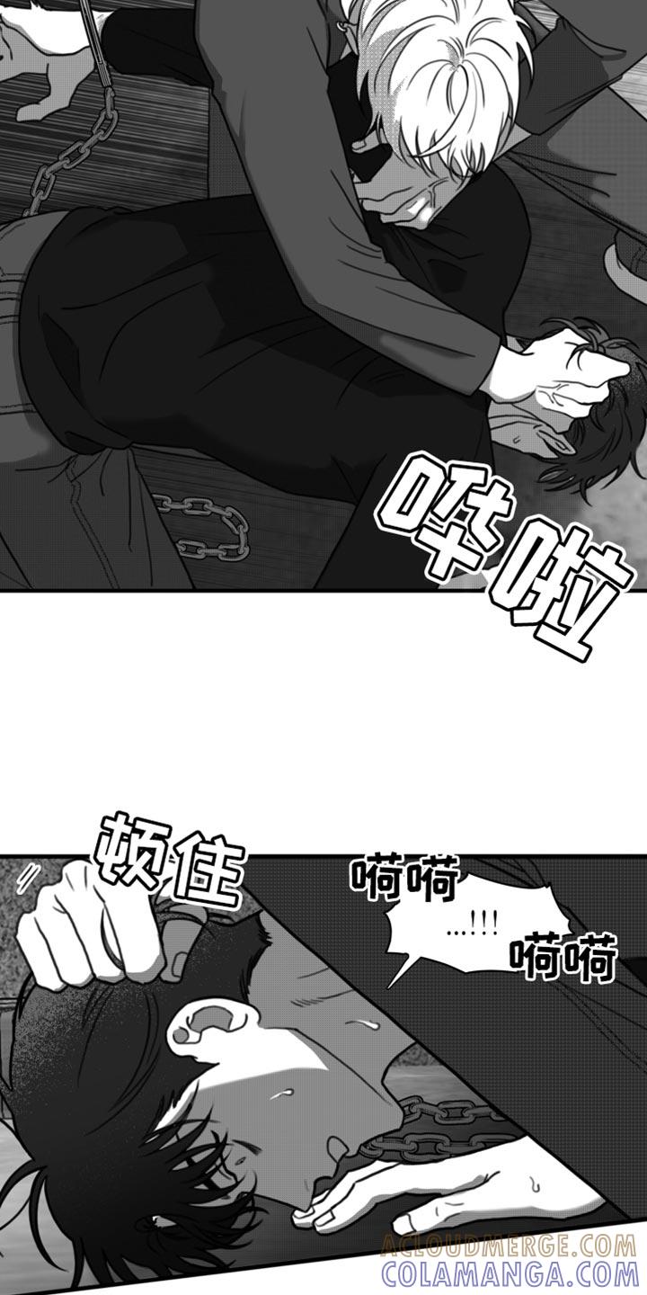 《疯狂禁锢》第42章：无可奉告 第3页