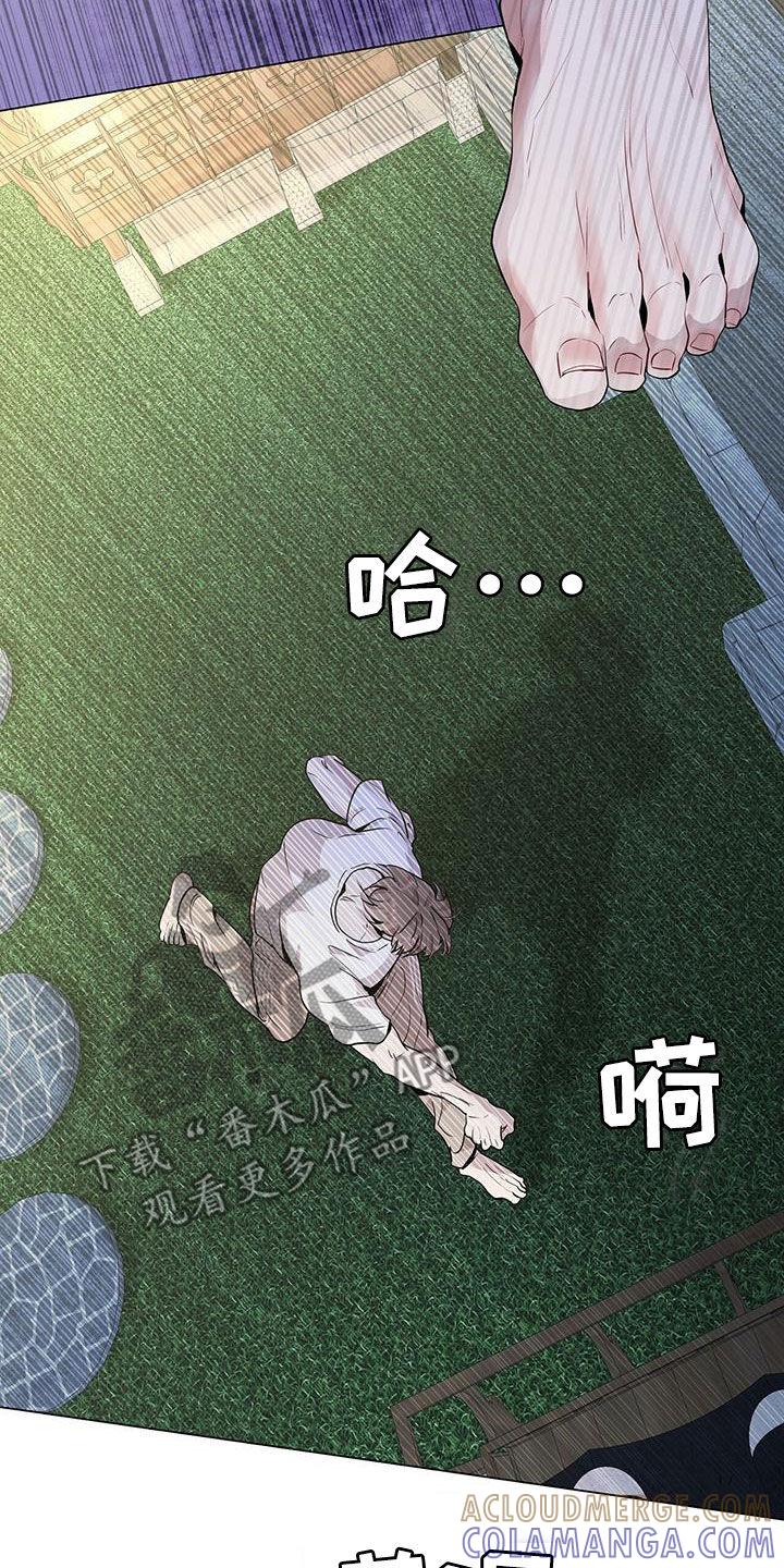 《虚情假意》第42章：超大蜘蛛 第3页