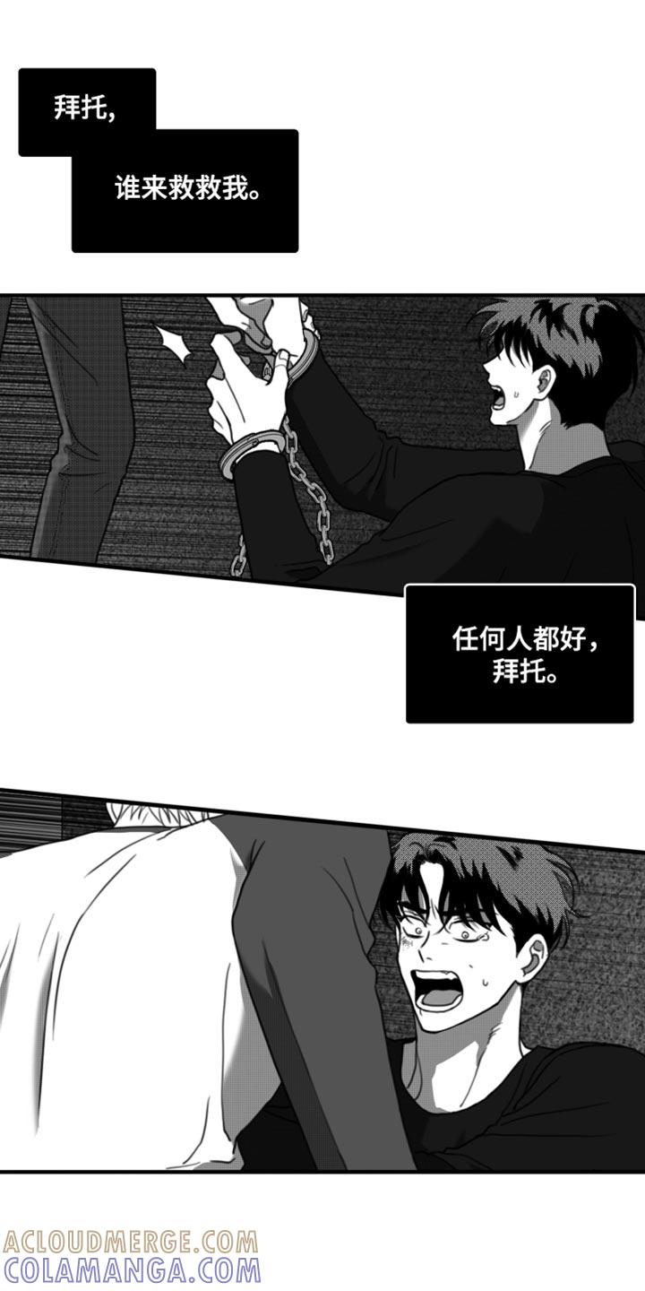 《疯狂禁锢》第42章：无可奉告 第13页