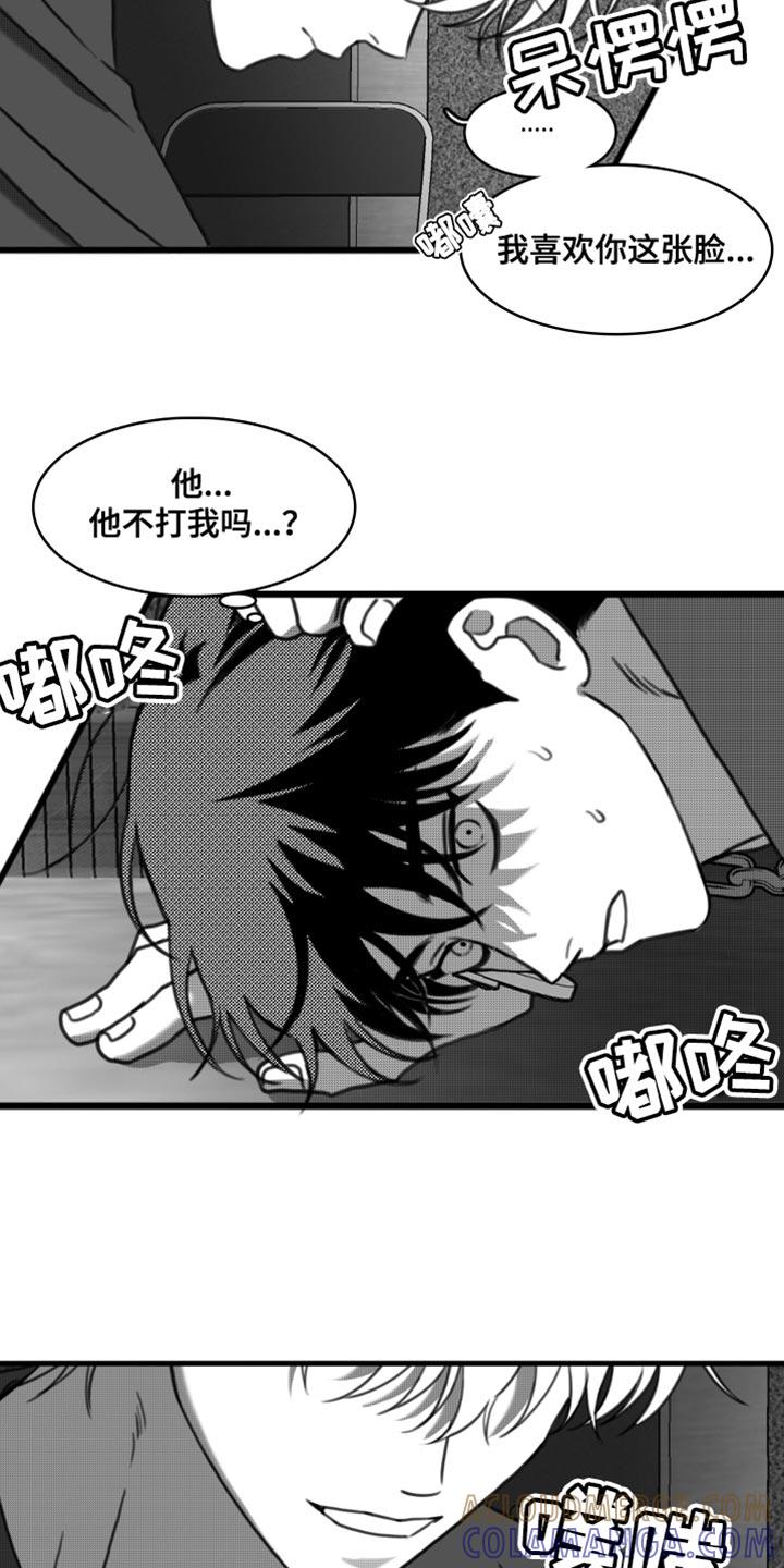 《疯狂禁锢》第42章：无可奉告 第5页