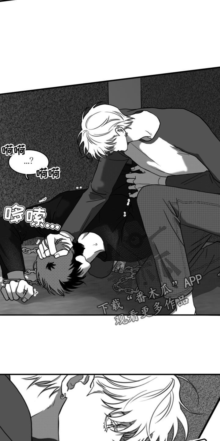《疯狂禁锢》第42章：无可奉告 第4页