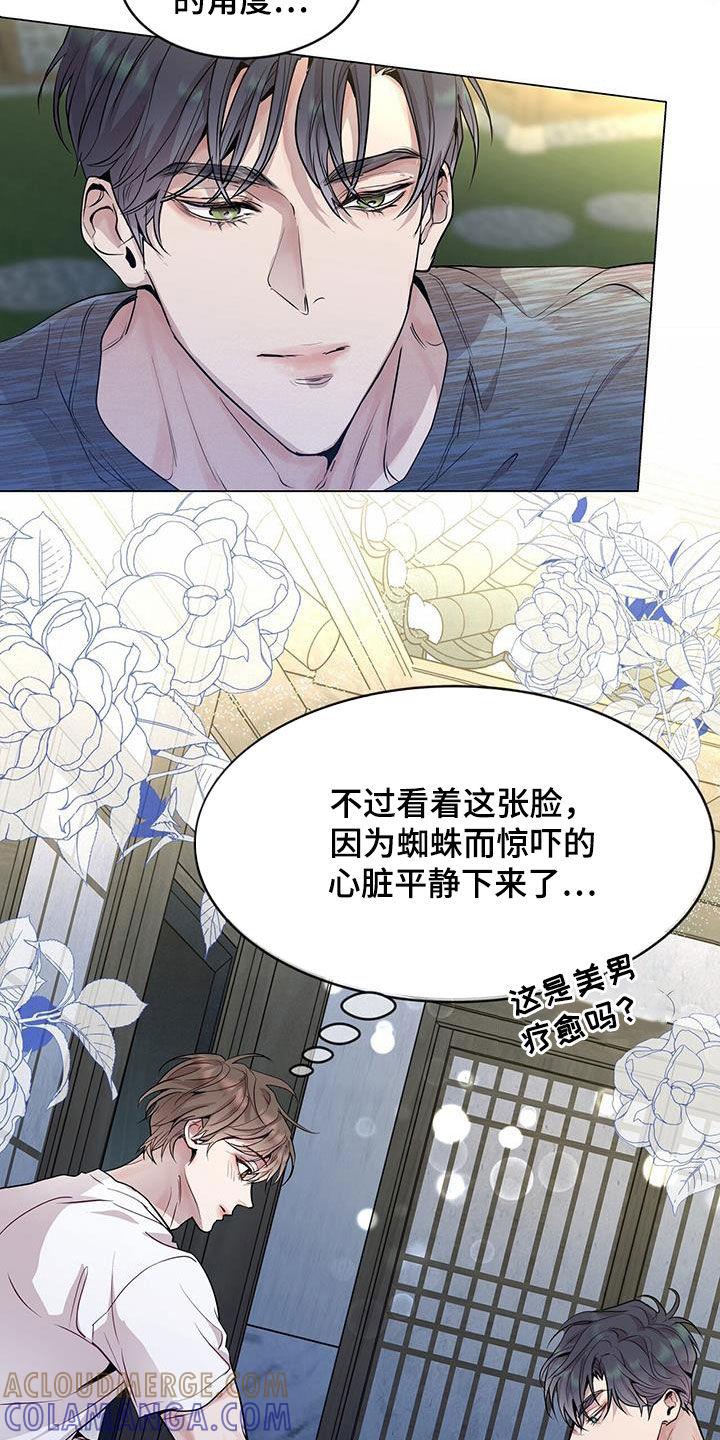 《虚情假意》第42章：超大蜘蛛 第25页