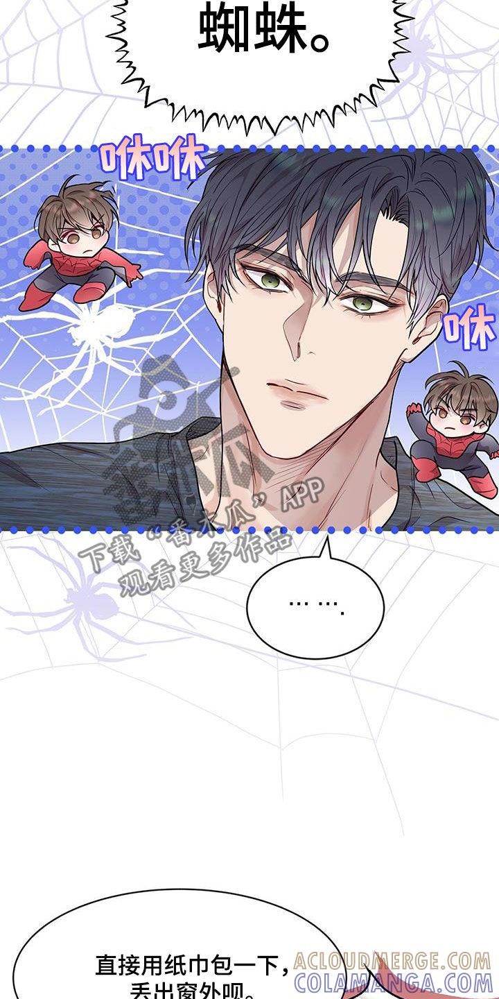 《虚情假意》第42章：超大蜘蛛 第13页