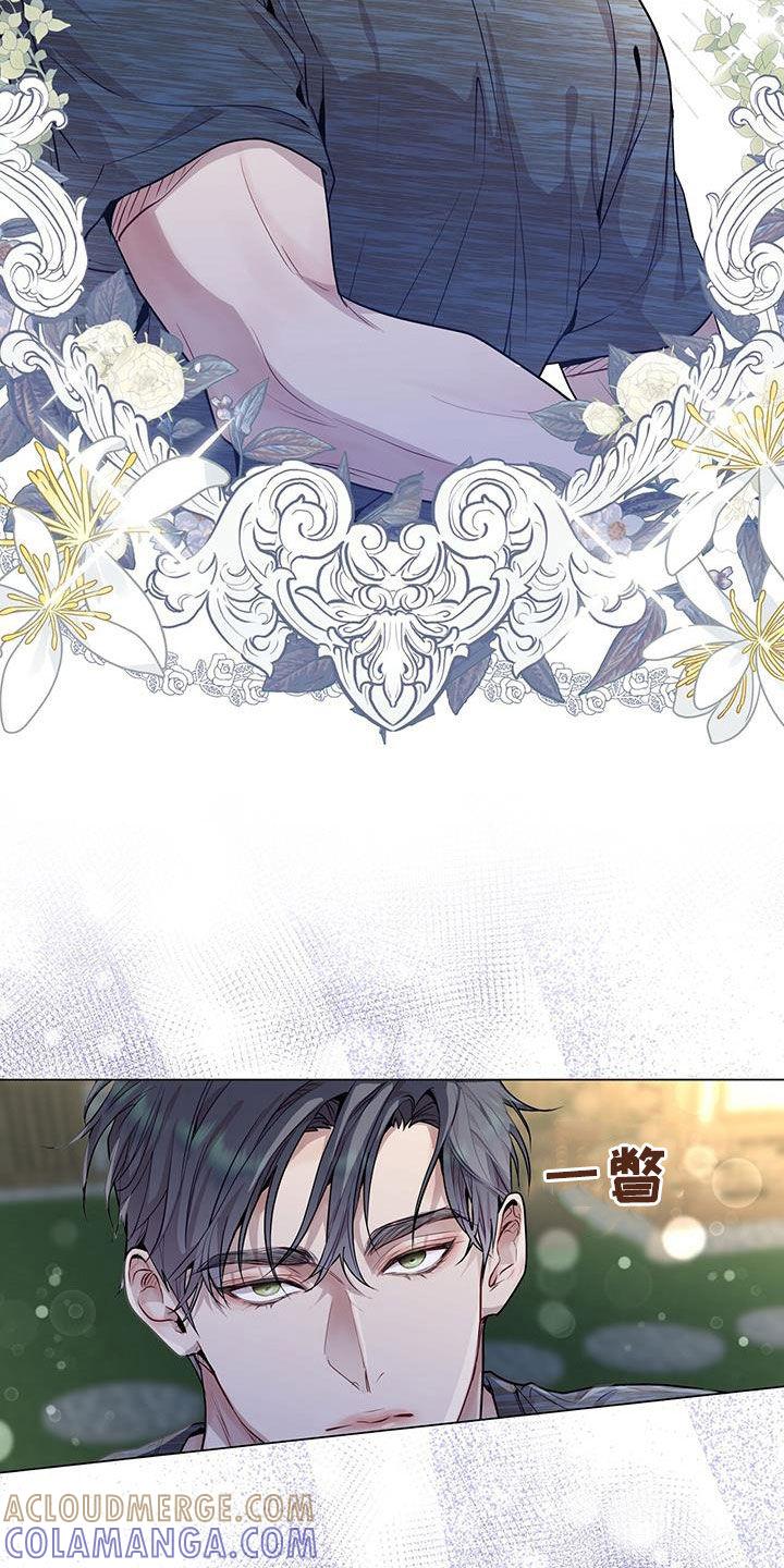 《虚情假意》第42章：超大蜘蛛 第27页