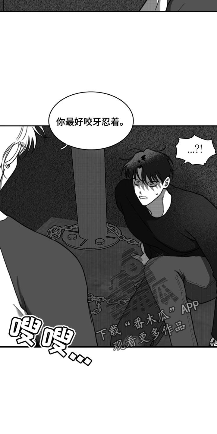 《疯狂禁锢》第42章：无可奉告 第12页