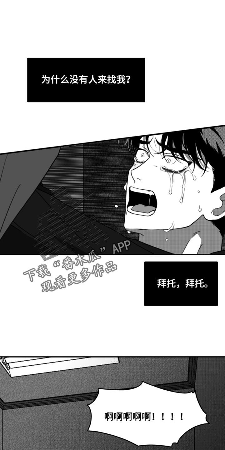 《疯狂禁锢》第42章：无可奉告 第14页