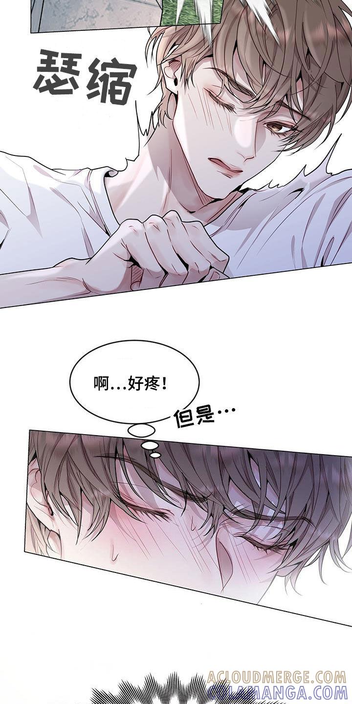 《虚情假意》第42章：超大蜘蛛 第5页
