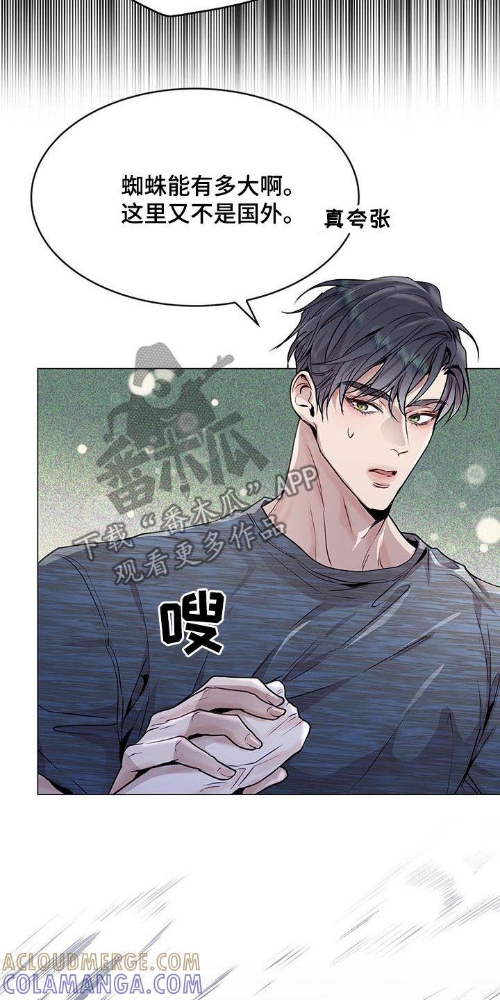 《虚情假意》第43章：怦然心动 第3页