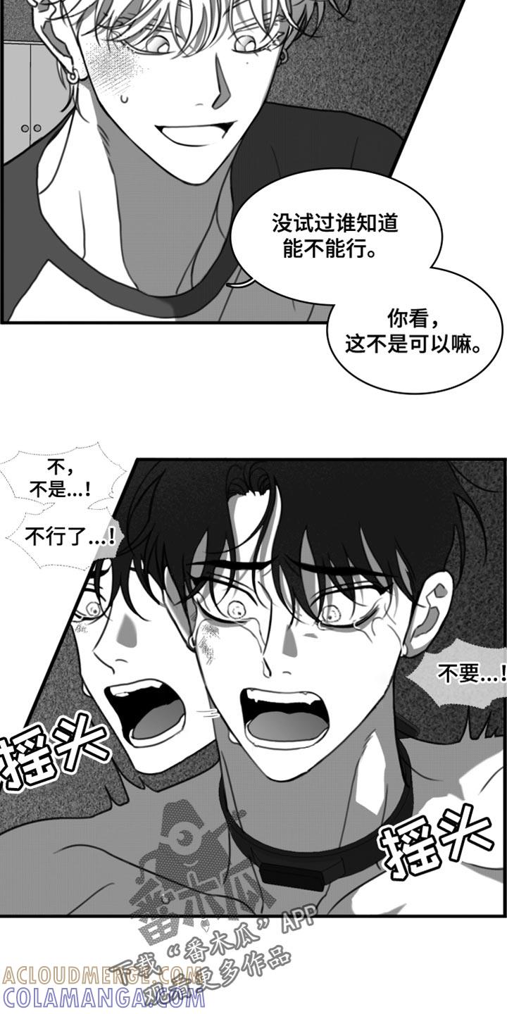 《疯狂禁锢》第44章：我原谅你了 第19页
