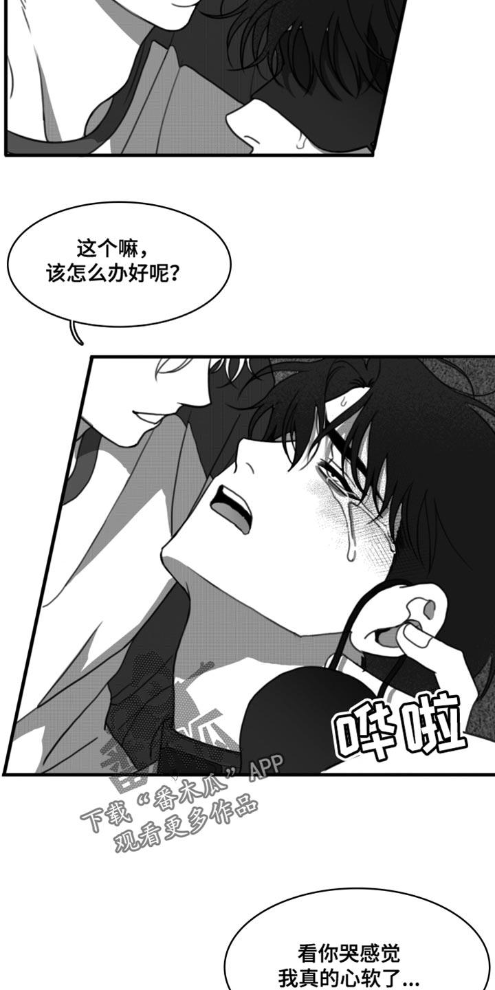 《疯狂禁锢》第44章：我原谅你了 第14页