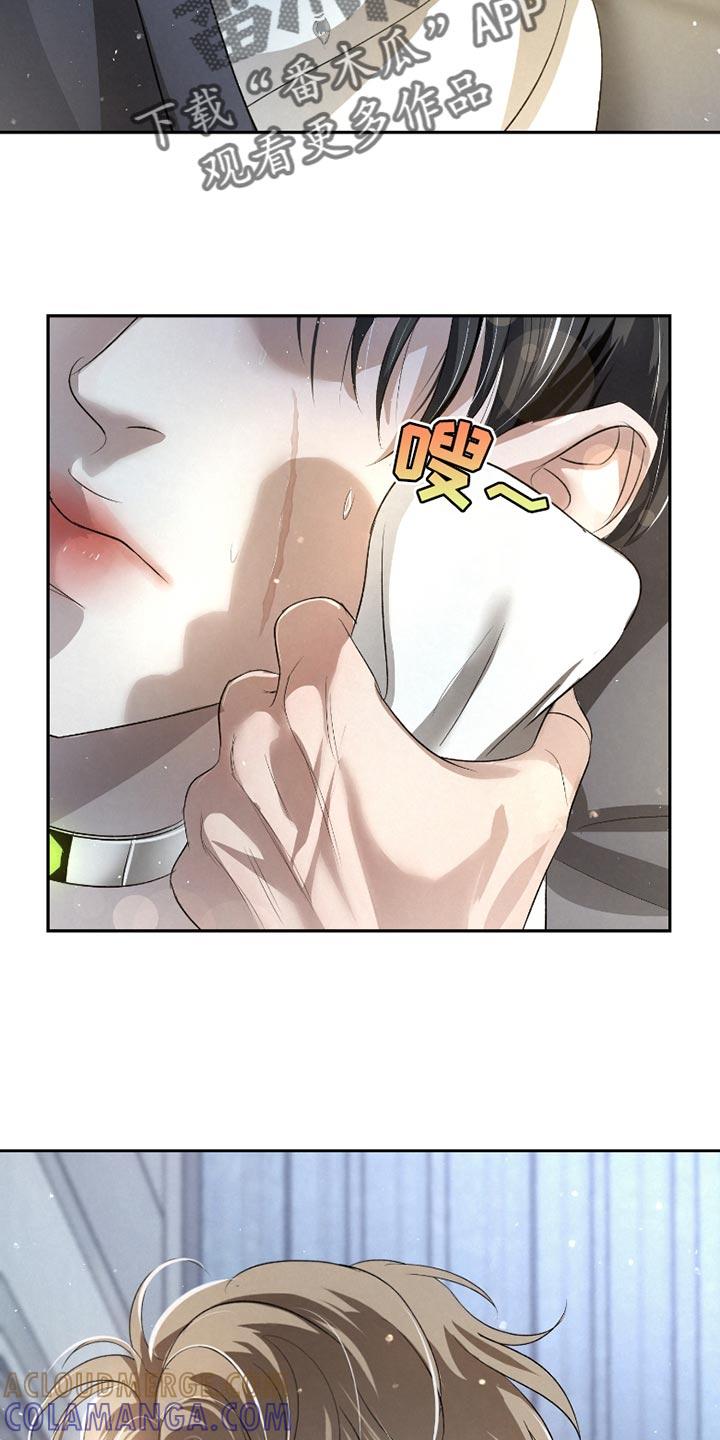 《血液指南》第45章：【第二季】照顾 第13页