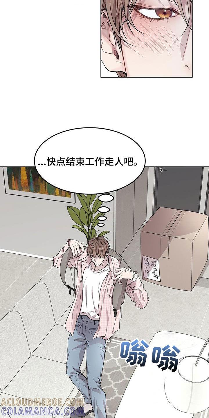 《虚情假意》第48章：支招 第17页