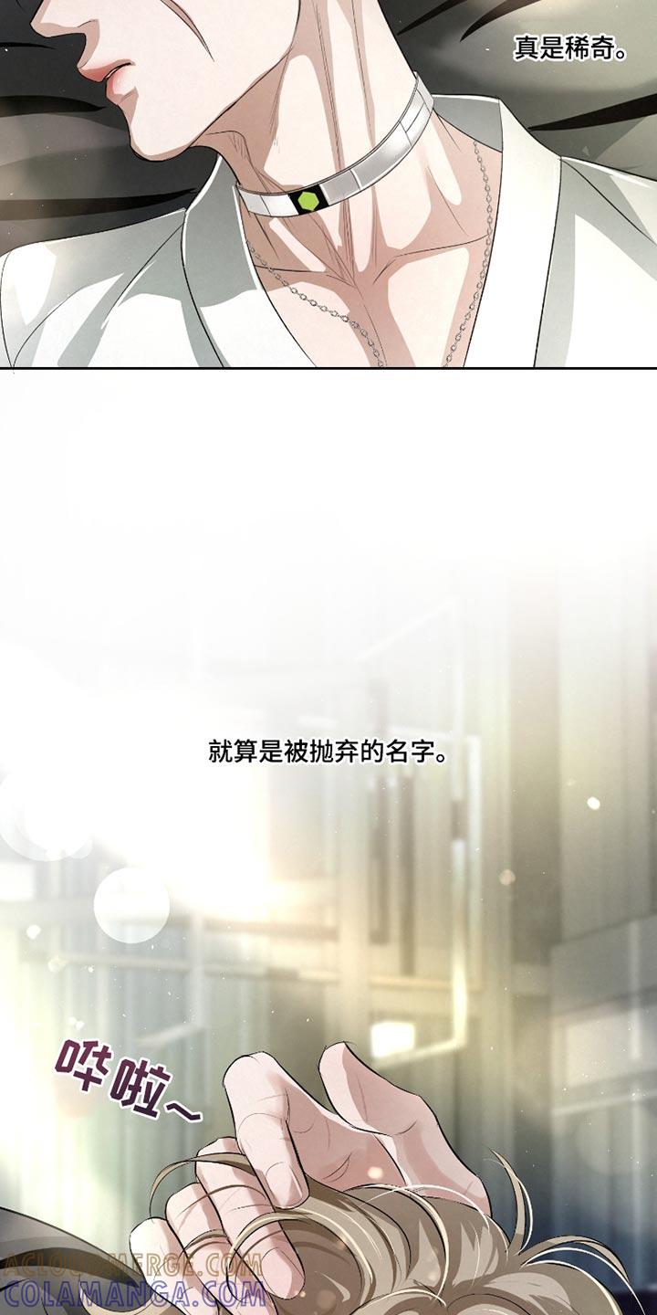 《血液指南》第49章：【第二季】一点也不疼 第9页