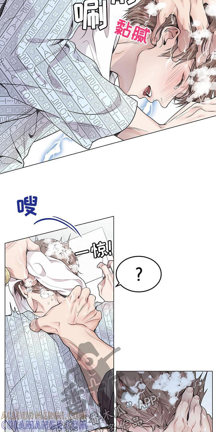 《虚情假意》第52章：洗头 第21页