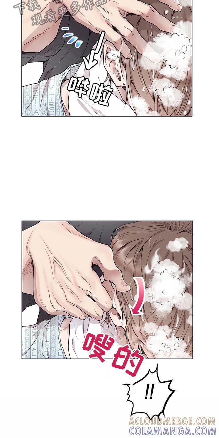 《虚情假意》第52章：洗头 第17页