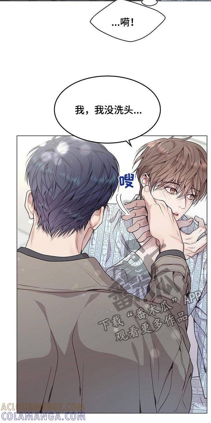 《虚情假意》第52章：洗头 第3页