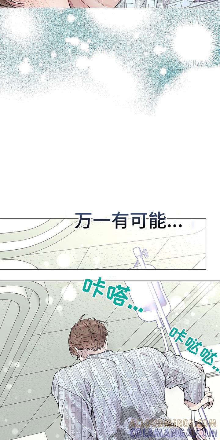 《虚情假意》第53章：可能 第21页