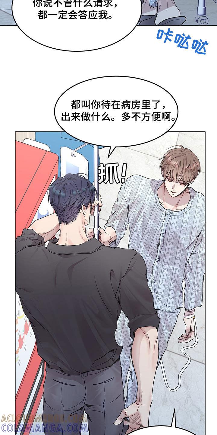 《虚情假意》第53章：可能 第25页
