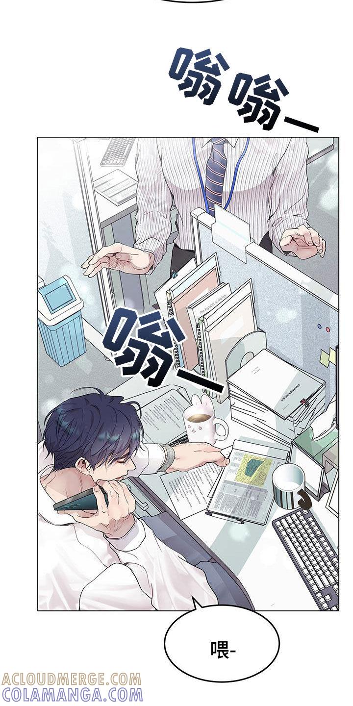 《虚情假意》第55章：不真实 第19页