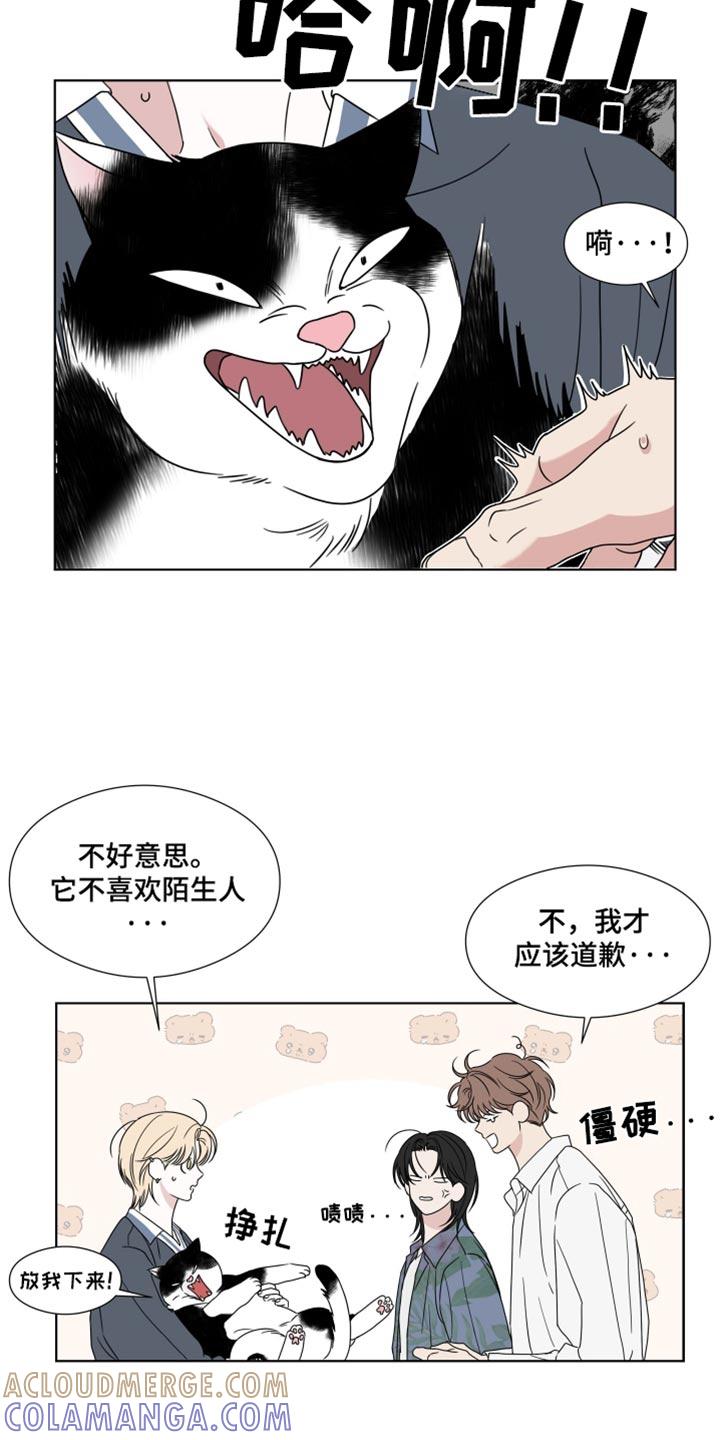 《疯狂禁锢》第57章：【第二季】白费功夫 第11页