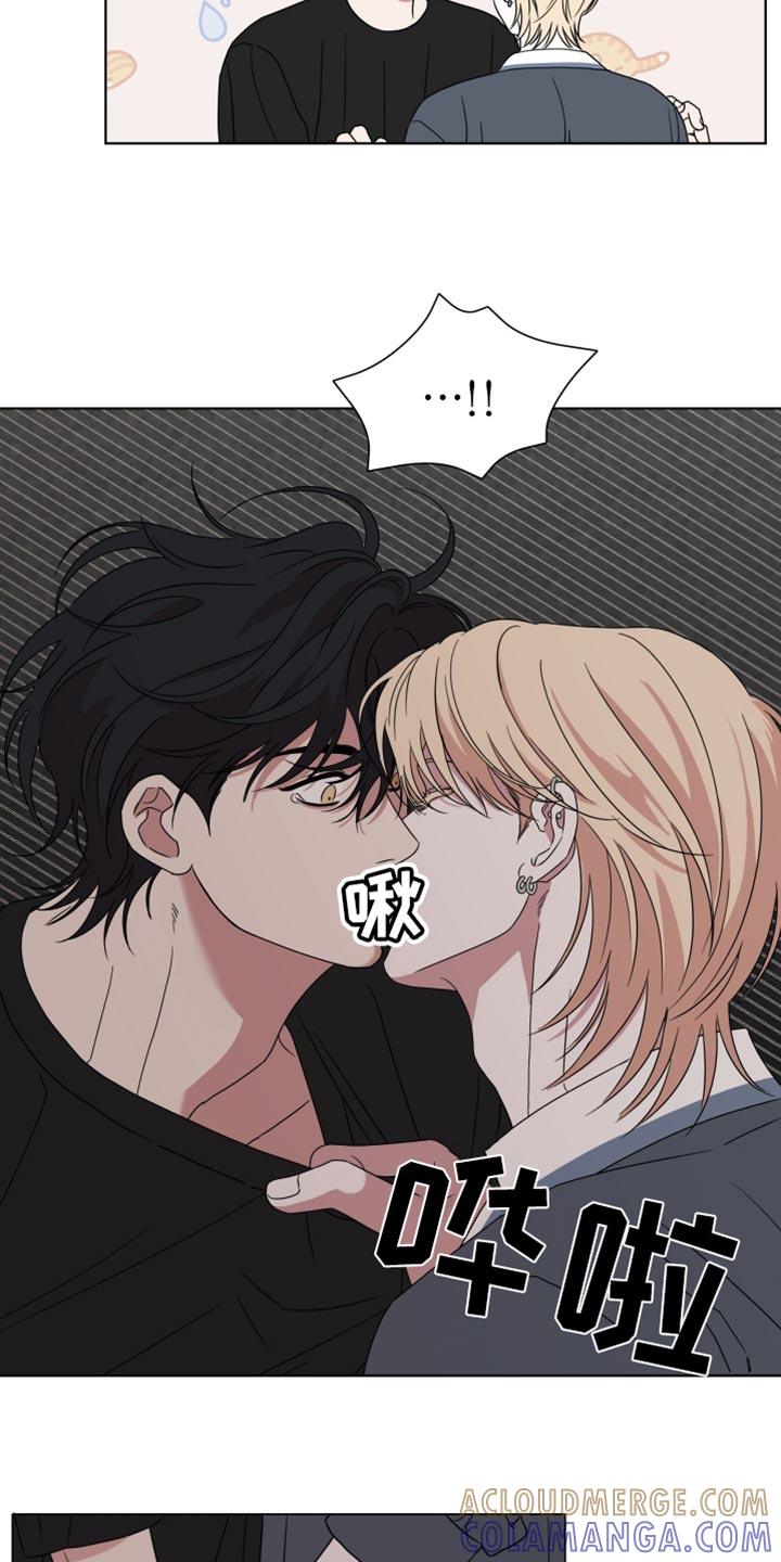 《疯狂禁锢》第58章：【第二季】一模一样 第17页