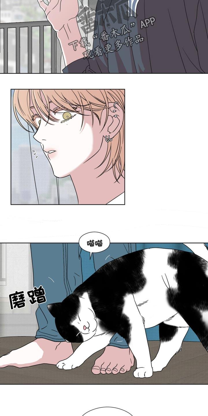 《疯狂禁锢》第58章：【第二季】一模一样 第8页