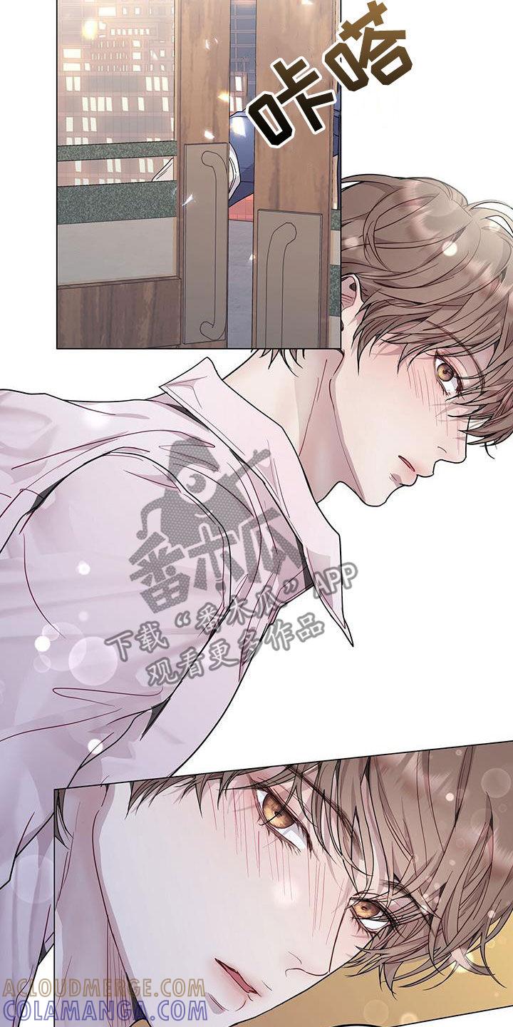 《虚情假意》第61章：喝醉 第11页