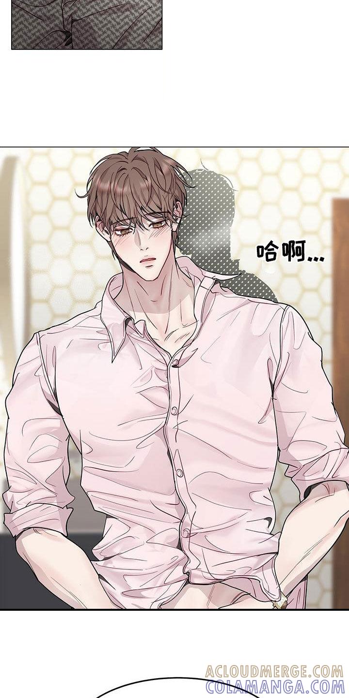 《虚情假意》第61章：喝醉 第15页