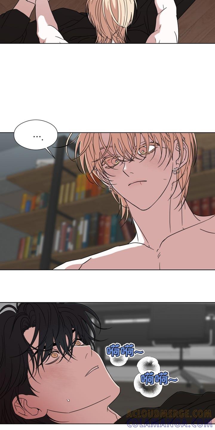《疯狂禁锢》第61章：【第二季】从头开始 第5页