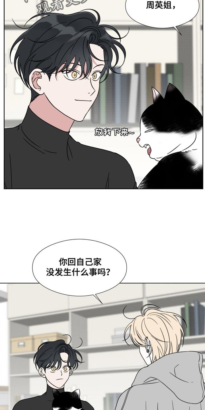 《疯狂禁锢》第63章：【第二季】摔倒受伤 第16页