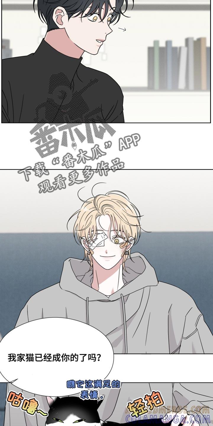 《疯狂禁锢》第63章：【第二季】摔倒受伤 第13页